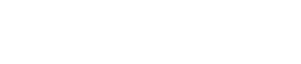 North Star Staffing White logo